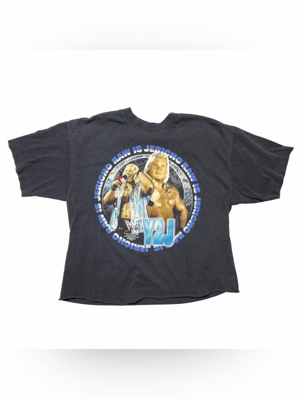 VTG 2000 Chris Jericho Y2J WWF WWE Wrestling Black T Shirt Orginal Mens Size XL